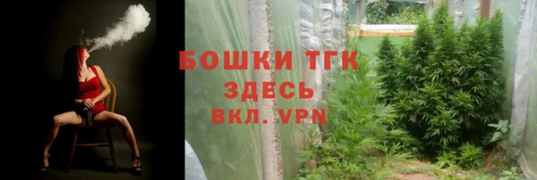 гидропоника Алзамай