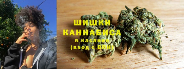ешки Алексин