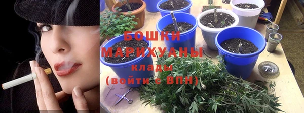 гидропоника Алзамай