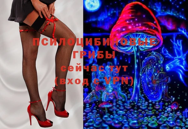 ешки Алексин
